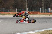 DSC_0316 (3)